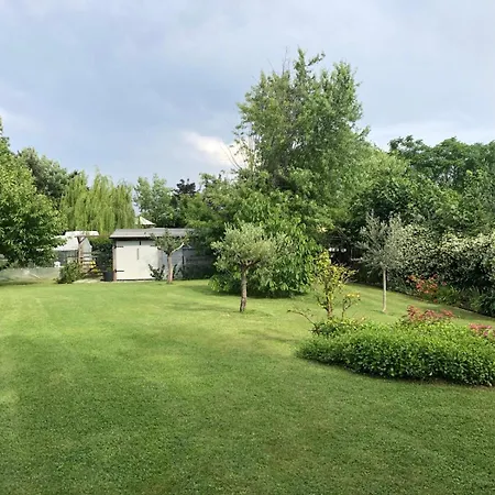 Dalia Villa *