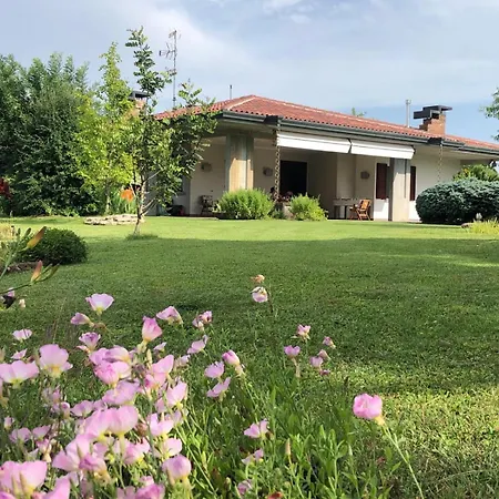 Dalia Villa